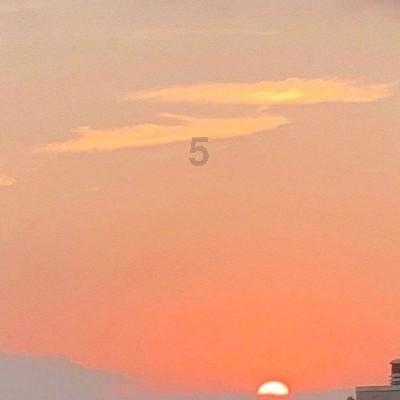 农场出逃大作战4
