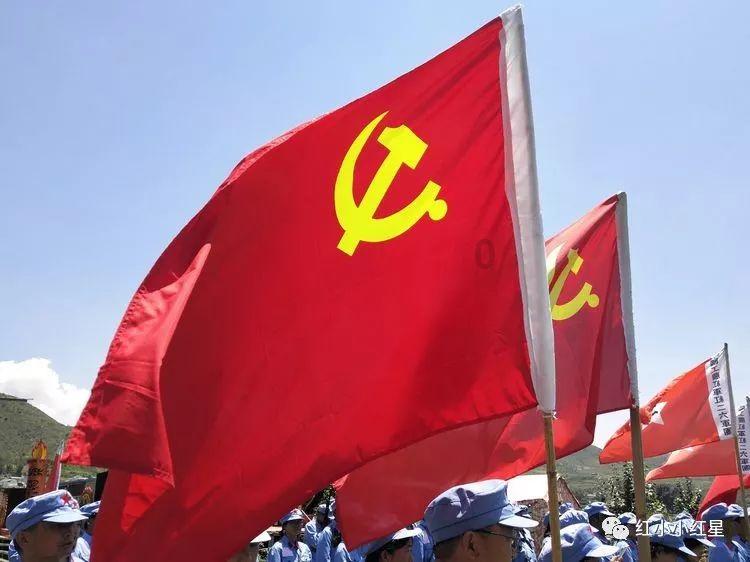 学习插花艺术
