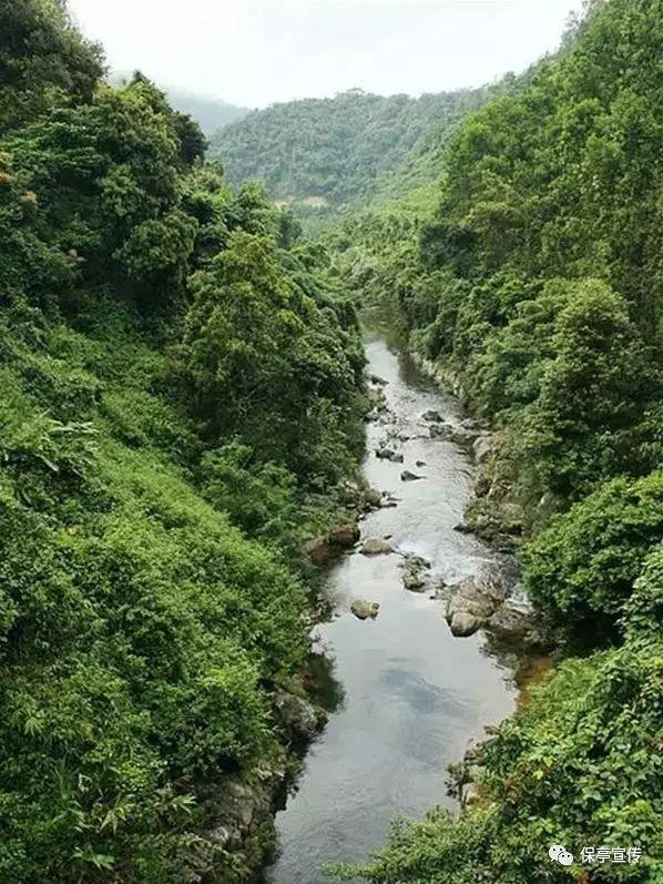 家园卡拉克沙漠
