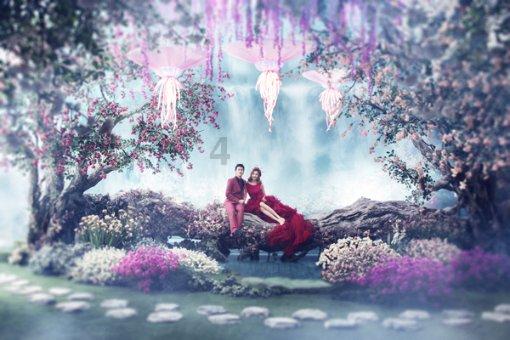 巧虎足球传送门
